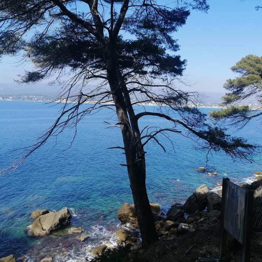 Clos Victor Spacieux 2 Pieces Lägenhet Toulon Exteriör bild