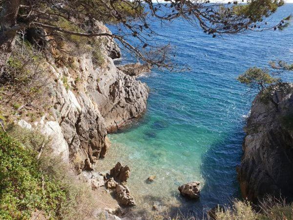 Clos Victor Spacieux 2 Pieces Lägenhet Toulon Exteriör bild